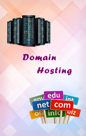 domain hosting vandavasi